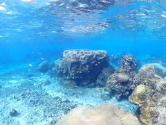 Nami�{�Ó��̎ʐ^2