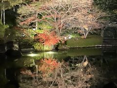 �D�É��̎ʐ^1