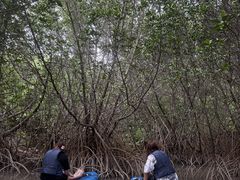 COORPAROO�y�N�[�p���[�z�̎ʐ^3