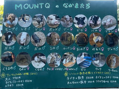 CROSSDON�����MOUNTQ�ւ̓��e�ʐ^1