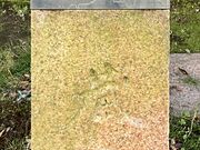 Shota����̑��̒҂̓��e�ʐ^1