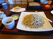 ���������݂�����̎�ł����� �������̓��e�ʐ^2