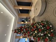 �͂Ȃ��񂳂�̃z�e���}�C�X�e�C�Y�v���~�A�D�y�p�[�N�̓��e�ʐ^2