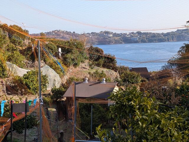 �݂��񔨂���͊C�������܂��B_�}���t�N�K�[�f��