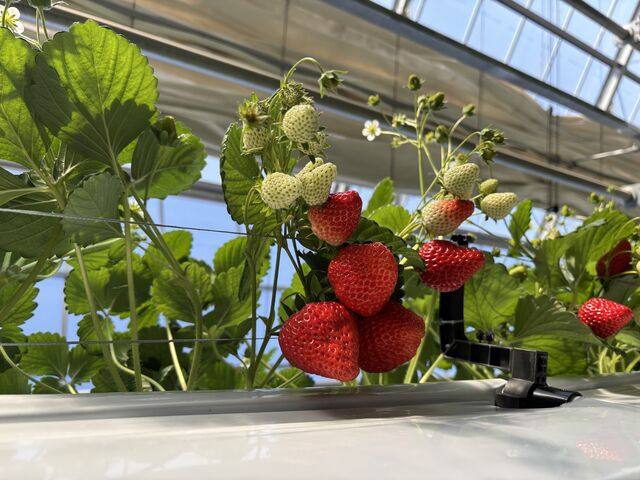 �S�������܂��Ɋy�ɂ�������肪�o���Ė����ł��B_�t�@�[������� �É͓X