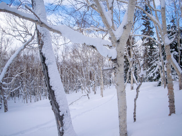 ��������čō��ł����I_�x�ǖ�-Greenjourney-