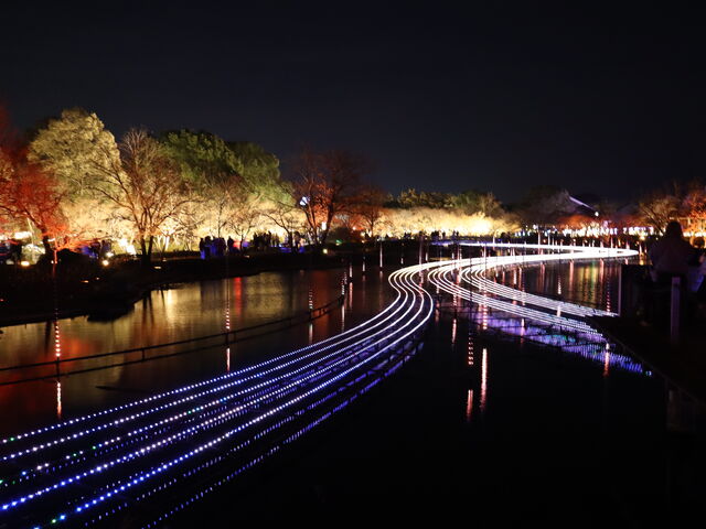 ������܂��܂�����_�Ȃ΂Ȃ̗�