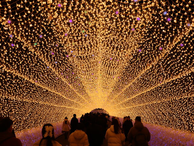 ��������_�Ȃ΂Ȃ̗�