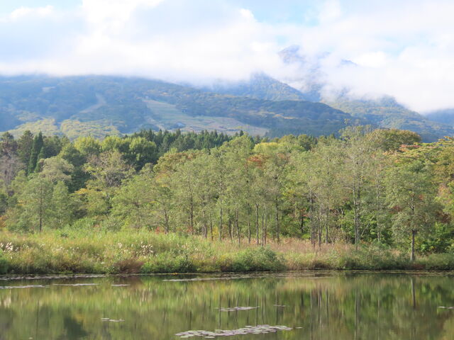 �_�ɕ���ꂽ�����R�A��O��
������r_���������i������r�j