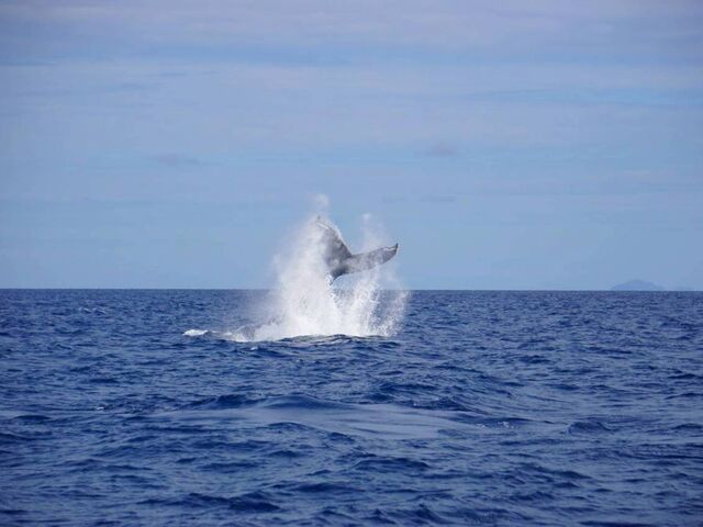 �X�^�b�t����B�e�̃A�N�V����_TRY ANGLE