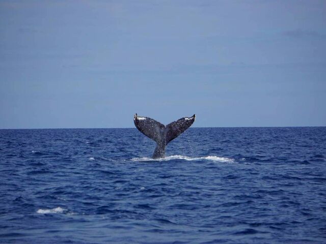 �����ۂ̐悪�����Ă��킢��_TRY ANGLE