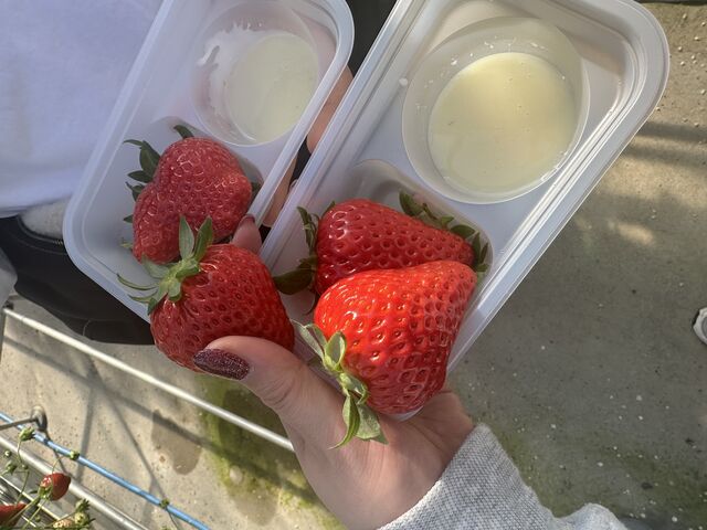 �傫���Đ^���ԂȂ���������������I������Ƃ����Ė��������Ȃ�Ă��ƂȂ��c�喞���ł��I_�������퉮