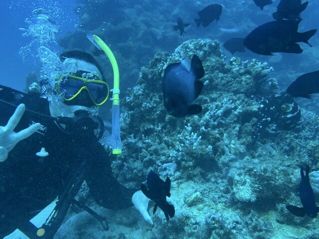 �]�T�����ȕ\��ł����A�v���Ԃ�Ȃ̂ŃC�b�p�C�C�b�p�C�ł�����_ONLYONE diving