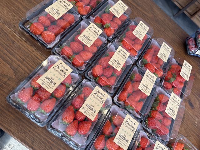 ���y�Y�p�������܂���_�͖쉀�|