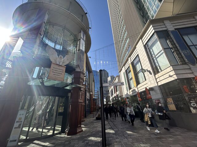 �n���[�|�b�^�[_�ԍ�T�J�X