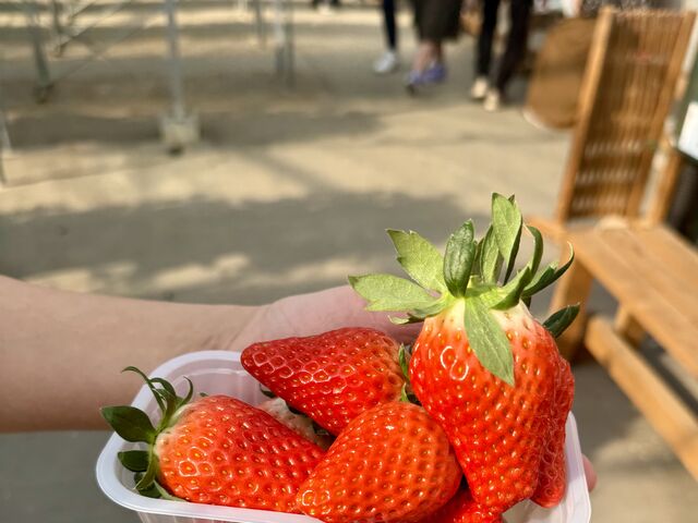 �Ԃ��đ傫�Ȃ�����_�����x���[