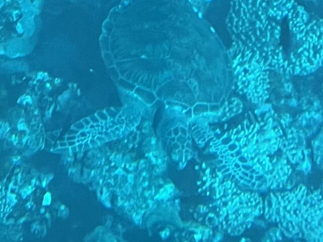 jun����̐V���C��ό��Z���^�[�̓��e�ʐ^2