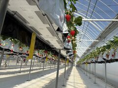 �܂�Ղ� ���������̎ʐ^1