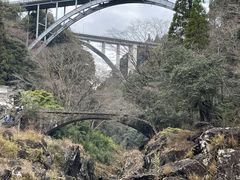 �݂�����̍���䋬�ւ̓��e�ʐ^1