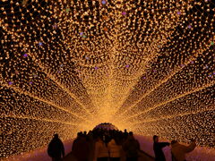 yosshy����̂Ȃ΂Ȃ̗��̓��e�ʐ^1