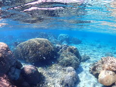 Nami�{�Ó��̎ʐ^1