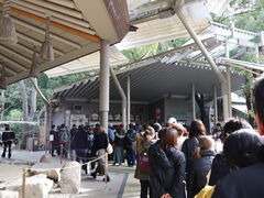 yosshy����̋{�����߂� �_�{�X�ւ̓��e�ʐ^1