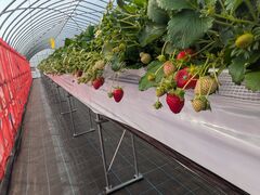 �܂��܉��̎ʐ^2