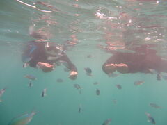 Okinawan sup�̎ʐ^1