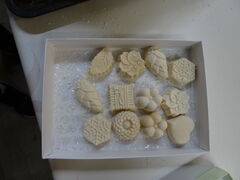 �]�B�䓛���~�̎ʐ^1