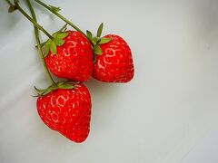 �w���i�E�X�g���x���[�����h�̎ʐ^5