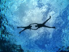 ����A�C�����h�N���[�̎ʐ^1