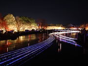 yosshy����̂Ȃ΂Ȃ̗��̓��e�ʐ^2