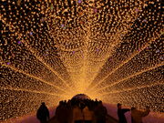 yosshy����̂Ȃ΂Ȃ̗��̓��e�ʐ^7