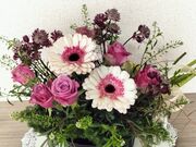 ���񂱂Ƃ��Ȃ�����̃��v���W�[���̓��e�ʐ^1