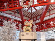 yosshy����̑�{���X�X�̓��e�ʐ^1