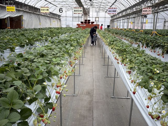 ���܁[������������R�I_�R���R���������t�@�[�� �K�[�f��