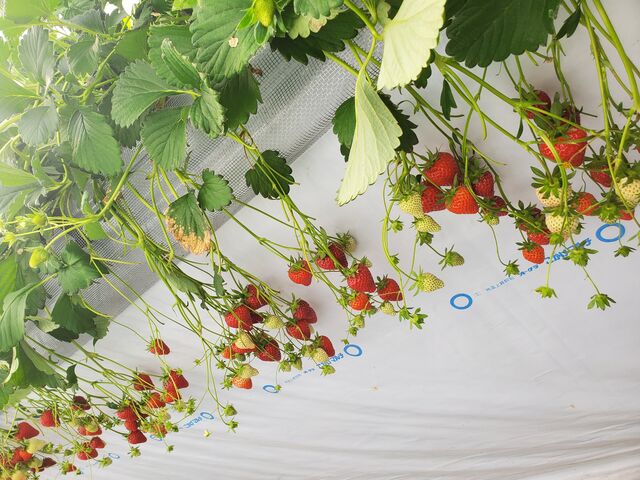 ���������_����������������