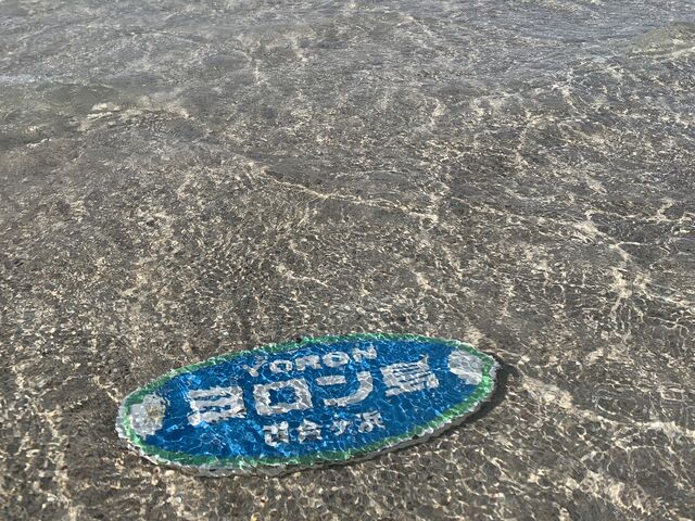 �g�̉��ɒu�����L�O�v���[�g_tome cruise