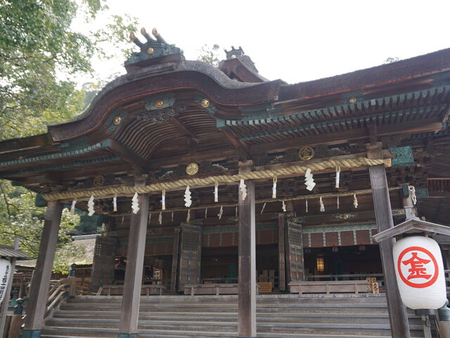 ��{�{�ł�_�����䗅�{