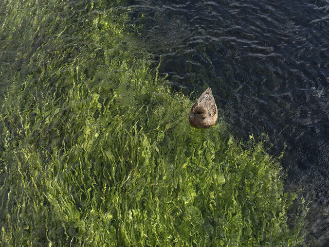 �c�A�[_Mt.Fuji 14 Travel