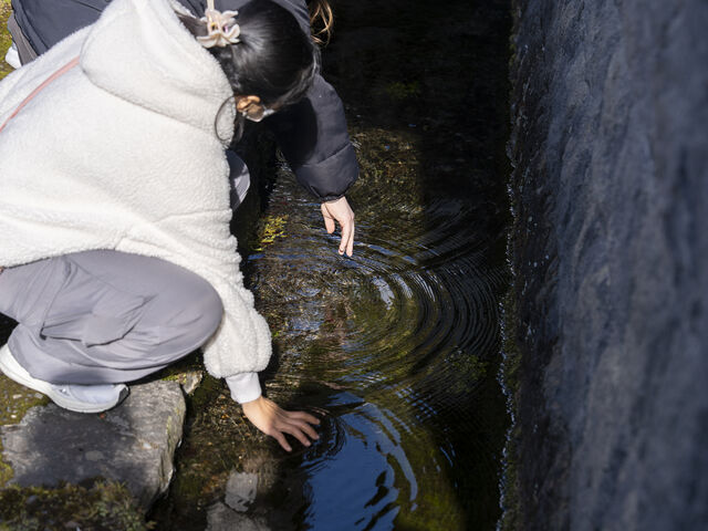 �c�A�[_14GuestHouseMtFuji