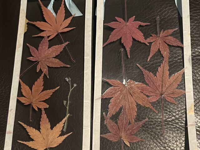 �؂�[�ō���Ē���������������H���܂�����_����H�[���y�Ԑl�̕��