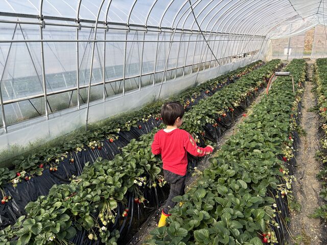 �n�E�X���Y��ł���_�������R�_��@�����������񂿂��