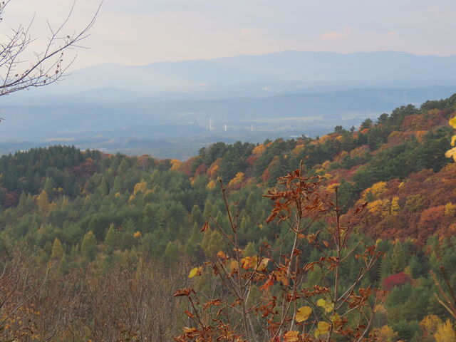 �W�]������̒���_���b�c�E�\�a�c�S�[���h���C��