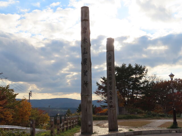 �W�]���̖ؔ�_���b�c�E�\�a�c�S�[���h���C��