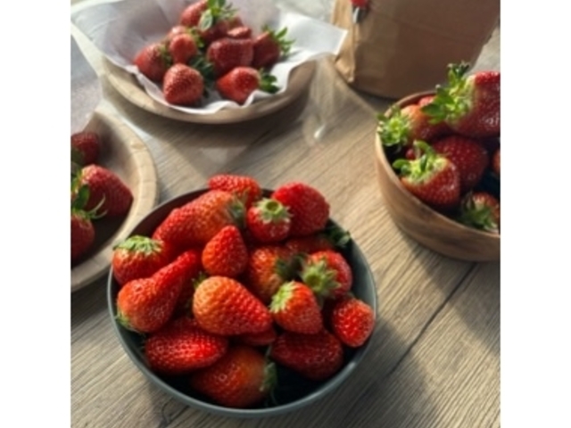 ����������_�X��䕉�