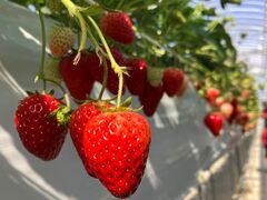 ���z�l�_���̎ʐ^1