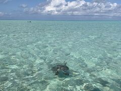 tome cruise�̎ʐ^3