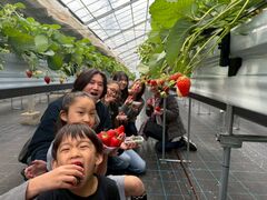 �t�� �}�`���A�̎ʐ^1