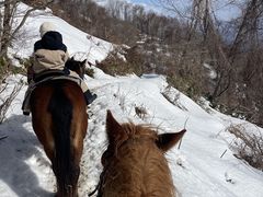 ���C�N�g�[�������`�̎ʐ^1